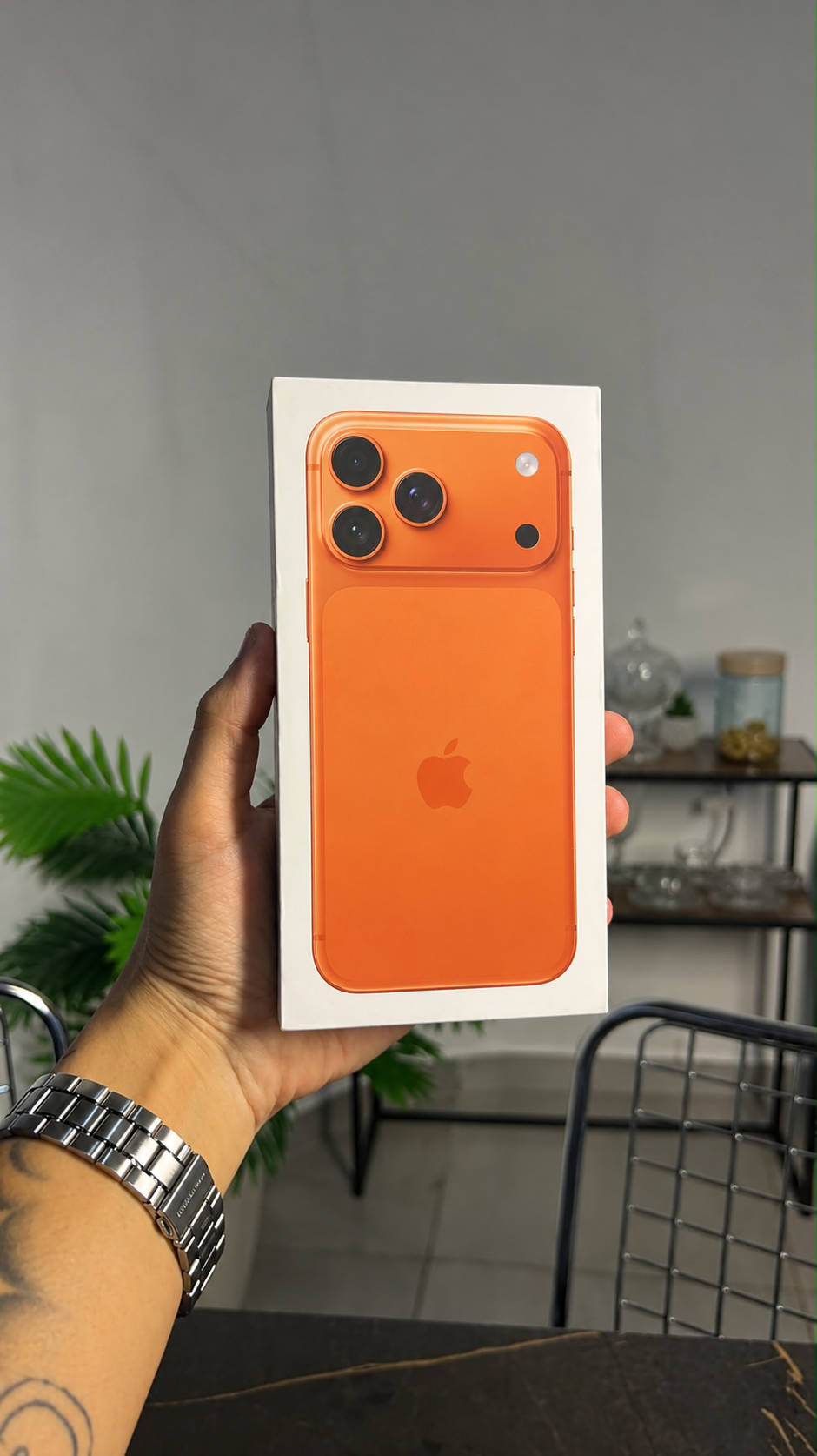 iPhone 17 Pro Max